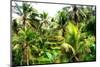 Dreamy Bali - Rice Terraces Between Palm Trees-Philippe HUGONNARD-Mounted Photographic Print