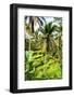 Dreamy Bali - Rice Terraces Forest-Philippe HUGONNARD-Framed Photographic Print