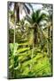 Dreamy Bali - Rice Terraces Forest-Philippe HUGONNARD-Mounted Photographic Print