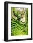 Dreamy Bali - Rices Terraces Farmer Working-Philippe HUGONNARD-Framed Photographic Print