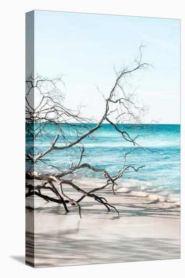Dreamy Bali - Spider Tree-Philippe HUGONNARD-Stretched Canvas