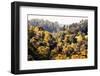 Dreamy Bali - The Jungle-Philippe HUGONNARD-Framed Photographic Print