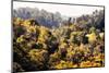 Dreamy Bali - The Jungle-Philippe HUGONNARD-Mounted Photographic Print