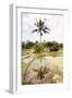 Dreamy Bali - The Rice Fields II-Philippe HUGONNARD-Framed Photographic Print