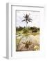 Dreamy Bali - The Rice Fields II-Philippe HUGONNARD-Framed Photographic Print