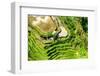 Dreamy Bali - The Rice Terraces-Philippe HUGONNARD-Framed Photographic Print