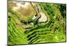 Dreamy Bali - The Rice Terraces-Philippe HUGONNARD-Mounted Photographic Print