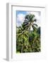 Dreamy Bali - Ubud Palm Trees Forest-Philippe HUGONNARD-Framed Photographic Print