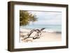 Dreamy Bali - Wild Nature-Philippe HUGONNARD-Framed Photographic Print