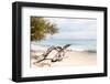 Dreamy Bali - Wild Nature-Philippe HUGONNARD-Framed Photographic Print