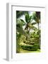 Dreamy Bali - Wild Palm Trees-Philippe HUGONNARD-Framed Photographic Print