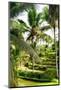 Dreamy Bali - Wild Palm Trees-Philippe HUGONNARD-Mounted Photographic Print