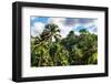 Dreamy Bali - Wild Tropical Forest-Philippe HUGONNARD-Framed Photographic Print