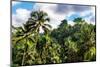 Dreamy Bali - Wild Tropical Forest-Philippe HUGONNARD-Mounted Photographic Print