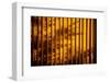 Dreamy Bali - Yellow Curtain Shadow II-Philippe HUGONNARD-Framed Photographic Print