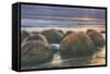 Dreamy Beach Formations, California Coast-Vincent James-Framed Stretched Canvas