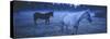 Dreamy Blue Mystery Horses-null-Stretched Canvas