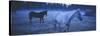 Dreamy Blue Mystery Horses-null-Stretched Canvas