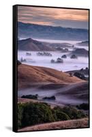 Dreamy Country Hills and Fog, Petaluma, Sonoma, Bay Area-Vincent James-Framed Stretched Canvas