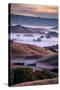 Dreamy Country Hills and Fog, Petaluma, Sonoma, Bay Area-Vincent James-Stretched Canvas