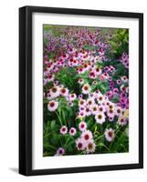 Dreamy Daisy Field-George Oze-Framed Photographic Print