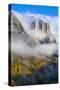 Dreamy El Capitan, Sun Fog and Trees, Yosemite National Park-Vincent James-Stretched Canvas