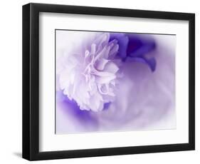 Dreamy Florals in Violet I-Eva Bane-Framed Photographic Print