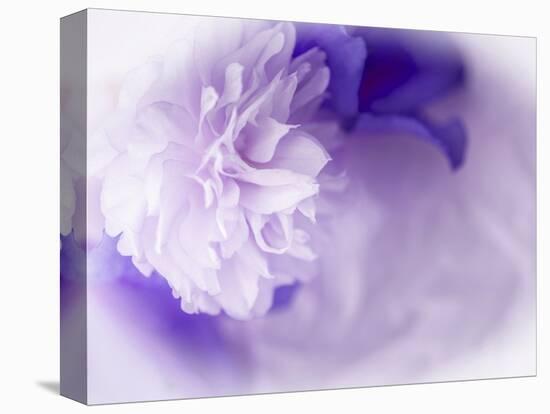 Dreamy Florals in Violet I-Eva Bane-Stretched Canvas