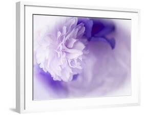 Dreamy Florals in Violet I-Eva Bane-Framed Photographic Print
