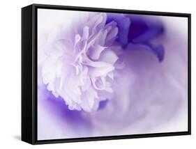 Dreamy Florals in Violet I-Eva Bane-Framed Stretched Canvas