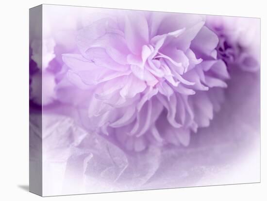 Dreamy Florals in Violet II-Eva Bane-Stretched Canvas