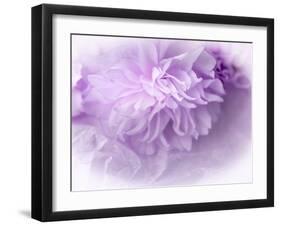 Dreamy Florals in Violet II-Eva Bane-Framed Photographic Print