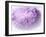 Dreamy Florals in Violet II-Eva Bane-Framed Photographic Print