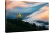 Dreamy Fog Light and Tree, Marin Mill Valley California-Vincent James-Stretched Canvas