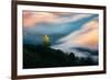 Dreamy Fog Light and Tree, Marin Mill Valley California-Vincent James-Framed Photographic Print