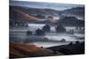 Dreamy Hills of Petaluma, Sonoma County, Bay Area, California-Vincent James-Mounted Photographic Print