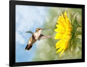 Dreamy Image Of A Hummingbird Next To A Sunflower-Sari ONeal-Framed Photographic Print