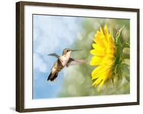 Dreamy Image Of A Hummingbird Next To A Sunflower-Sari ONeal-Framed Photographic Print