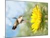 Dreamy Image Of A Hummingbird Next To A Sunflower-Sari ONeal-Mounted Photographic Print