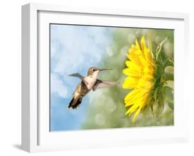 Dreamy Image Of A Hummingbird Next To A Sunflower-Sari ONeal-Framed Photographic Print