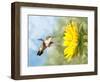 Dreamy Image Of A Hummingbird Next To A Sunflower-Sari ONeal-Framed Photographic Print