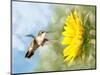 Dreamy Image Of A Hummingbird Next To A Sunflower-Sari ONeal-Mounted Photographic Print