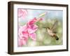 Dreamy Image Of A Ruby-Throated Hummingbird Hovering Next To A Pink Gladiolus Flower-Sari ONeal-Framed Photographic Print
