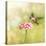 Dreamy Image Of A Tiny Female Hummingbird Feeding On A Pink Zinnia-Sari ONeal-Stretched Canvas