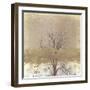 Dreamy Landscape in Winter-Imaginative-Framed Photographic Print