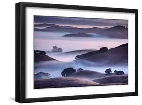 Dreamy Light and Fog, Petaluma Hills, Sonoma County, Bay Area-Vincent James-Framed Photographic Print