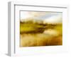 Dreamy Marsh 5-Janet Slater-Framed Photographic Print