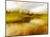 Dreamy Marsh 5-Janet Slater-Mounted Photographic Print