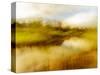 Dreamy Marsh 5-Janet Slater-Stretched Canvas