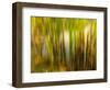 Dreamy Marsh 6-Janet Slater-Framed Photographic Print